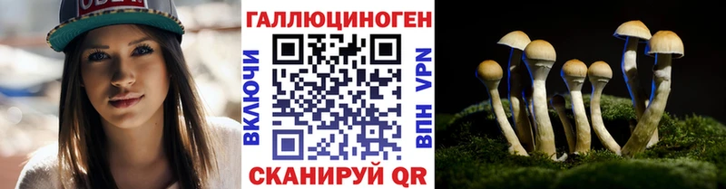 Псилоцибиновые грибы Magic Shrooms  Карачаевск 