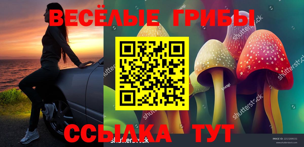 Псилоцибиновые грибы Magic Shrooms  Псилоцибиновые грибы GOLDEN TEACHER  Карачаевск  сколько стоит  Вход с VPN 